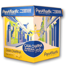 Caja Chapina