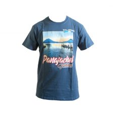 PLAYERA PANA